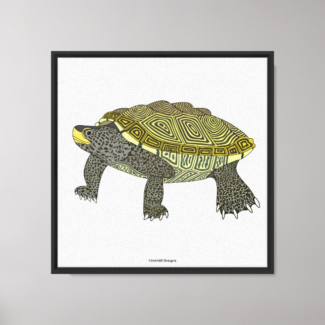 Terrapin (white) - Canvas Print (Front)