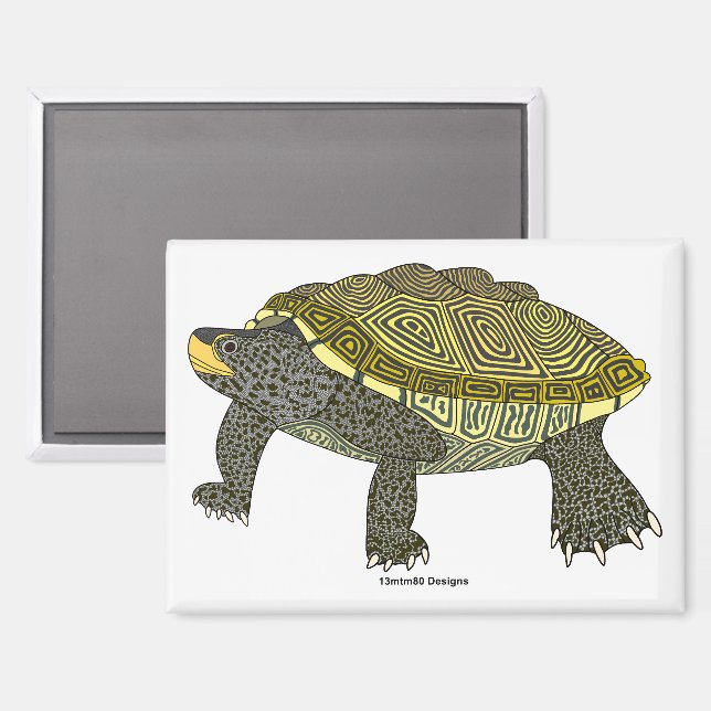 Terrapin (white) - Rectangle Magnet (Front/Back)