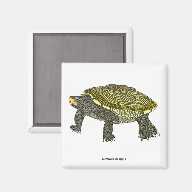 Terrapin (white) - Square Magnet (Front/Back)
