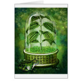 TERRARIUM.jpg (Front)