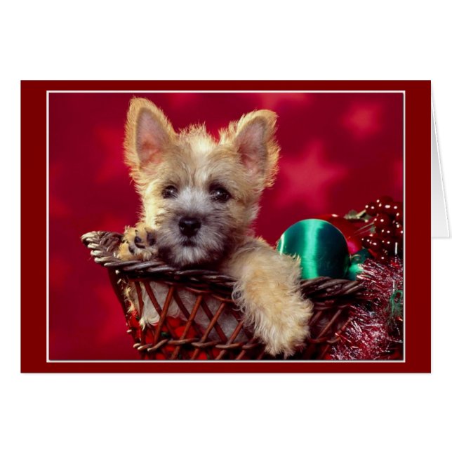 Terrier Christmas Cards (Front Horizontal)