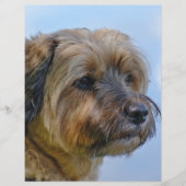 Terrier Design (Front)