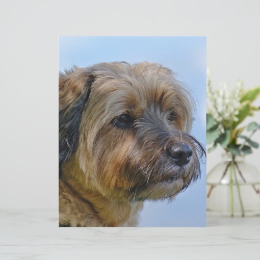 Terrier Design (Standing Front)