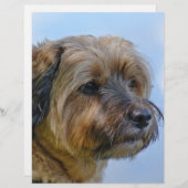 Terrier Design (Front/Back)