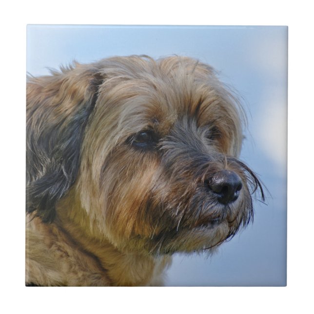 Terrier Design Ceramic Tile (Front)