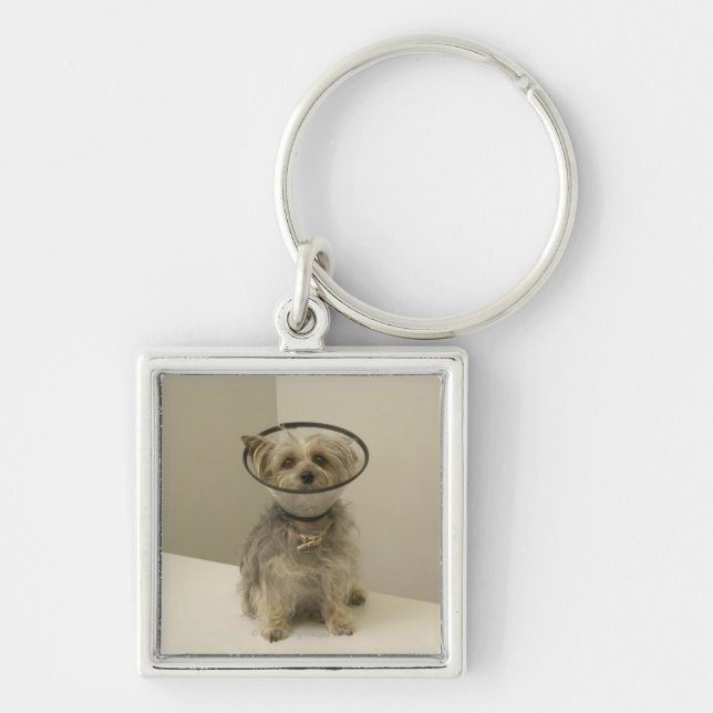 Terrier dog wearing protective collar, close-up keychain (Front)