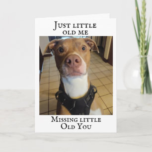 **TERRIER MISSES YOU ON YOUR BIRTHDAY** CARD