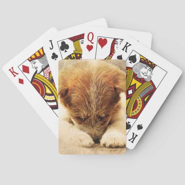 Terrier Poker Cards (Back)