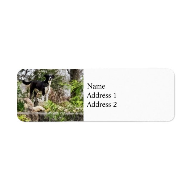 Terrier Standing Guard Label (Front)