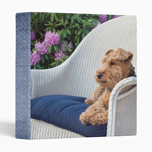 Terrier Time Out Binder (Front/Spine)