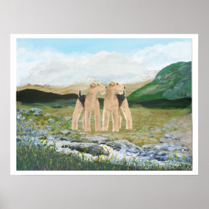 Terriers in Ireland Poster