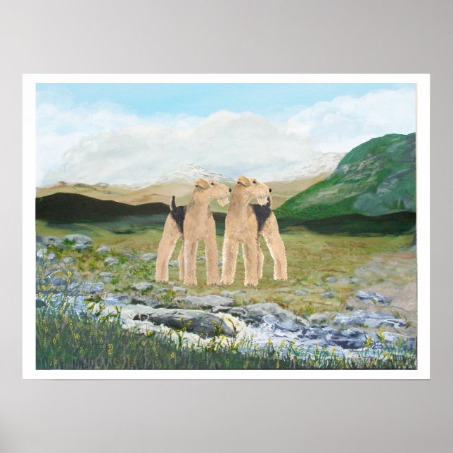 Terriers in Ireland Poster (Front)