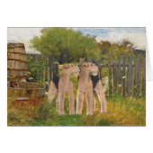 Terriers on the Farm (Front Horizontal)