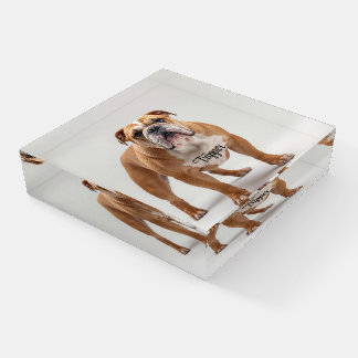 Terrific Bulldog Personalized Paperweight