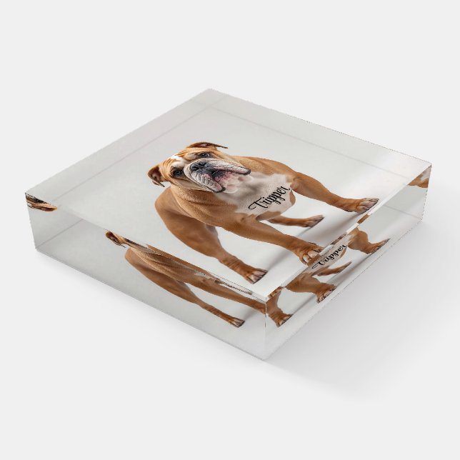 Terrific Bulldog Personalized Paperweight (Angled)