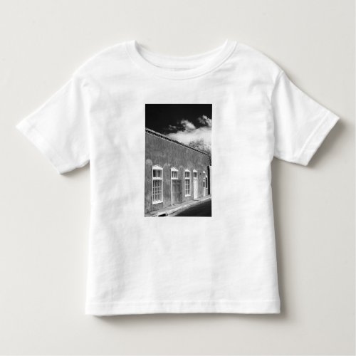 Territorial style architecture Santa Fe New Toddler T_shirt