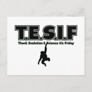 TESIF POSTCARD