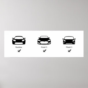 Tesla Master Plan Matte Poster