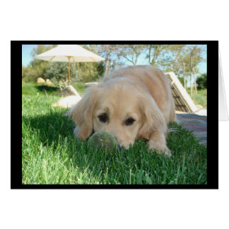 Tess' Dog Days Cards