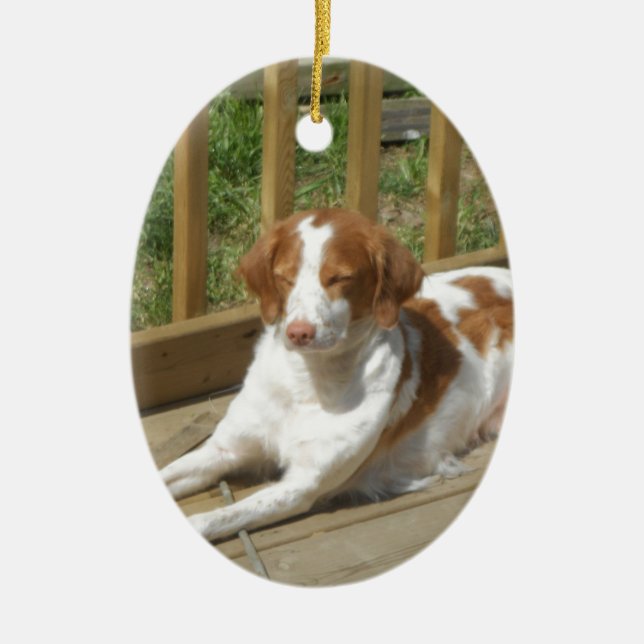 Tessa my little puppy ceramic ornament (Front)