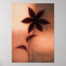 Tessen Clematis Japanese Floral Abstraction