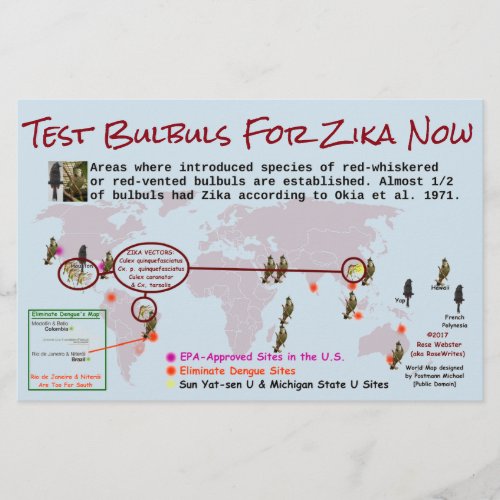 Test Bulbuls For Zika 2_Sided Flyer by RoseWrites