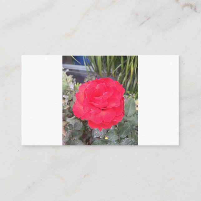 test business card (Front)