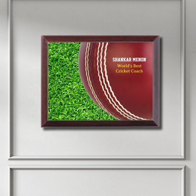 Test Match Red Cricket Ball with Custom Text Award Plaque (Creator Uploaded)