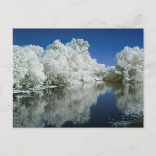 Test Post Card