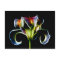 Test Post Card