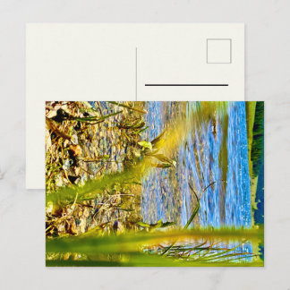 Test Postcard
