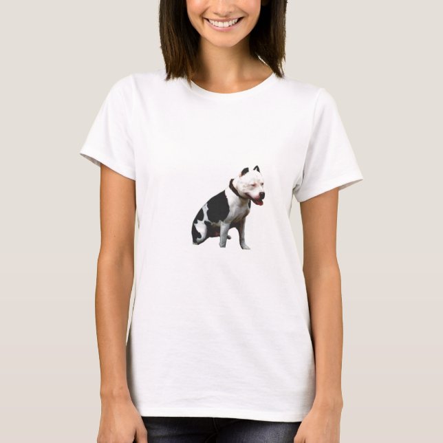 Test T-Shirt (Front)