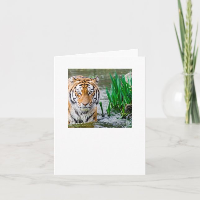 test thank you card (Front)