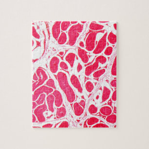 Testicle Cells under the Microscope Jigsaw Puzzle