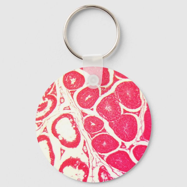 Testicle Cells under the Microscope Keychain (Front)