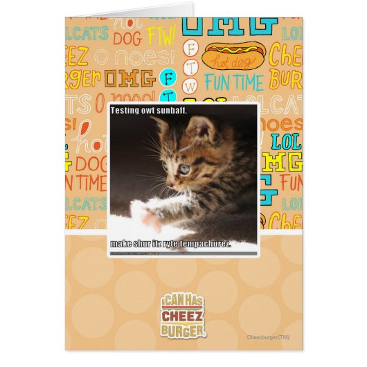 Testing owt sunbaff cards (Front)