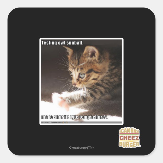 Testing owt sunbaff square sticker (Front)