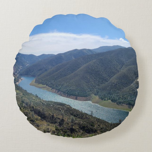 testing the hard stuff round pillow (Front)