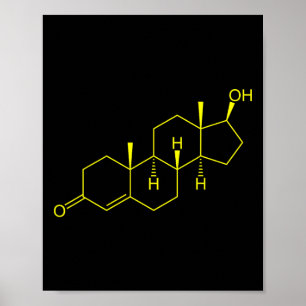 Testosterone Molecule Biology Science Bodybuilding Poster
