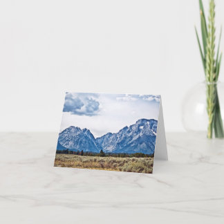 Teton 6976 card