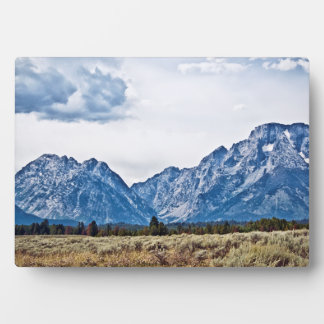 Teton 6976 plaque