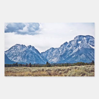 Teton 6976 rectangular sticker