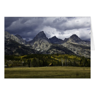Teton Field Cards