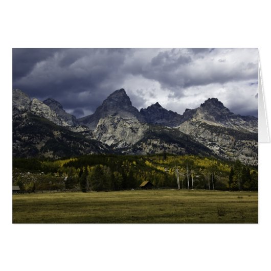 Teton Field Cards (Front Horizontal)