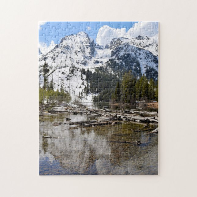 Teton Mountain Stream Reflections - 11x14 - 252 pc Jigsaw Puzzle (Vertical)