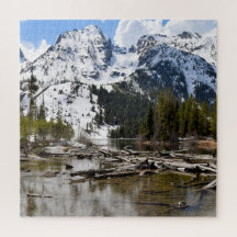 Teton Mountain Stream Reflections - 20x20 - 676 pc