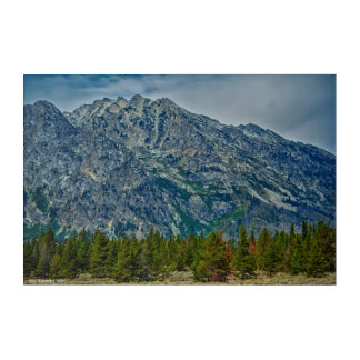 Teton NP 6901 Acrylic Print