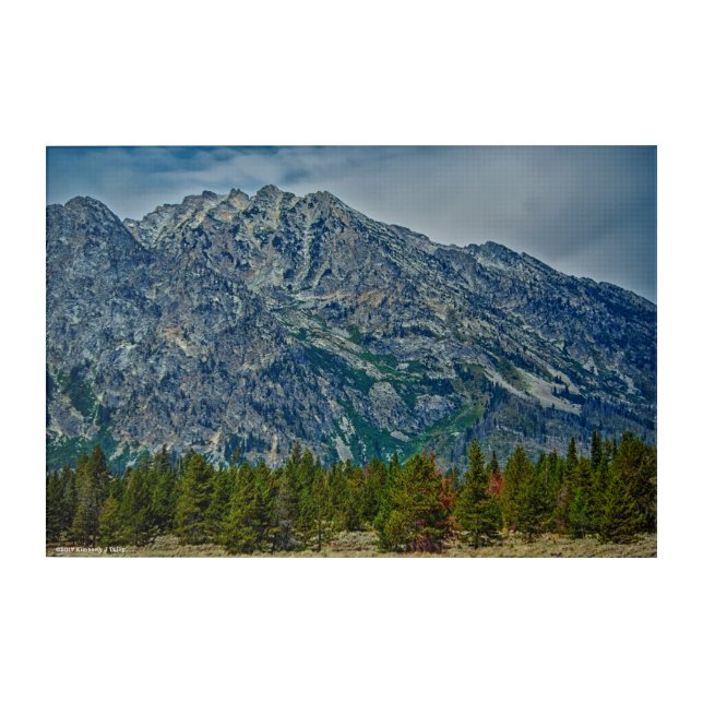 Teton NP 6901 Acrylic Print (Front)
