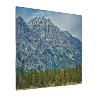 Teton NP 6901 Metal Print