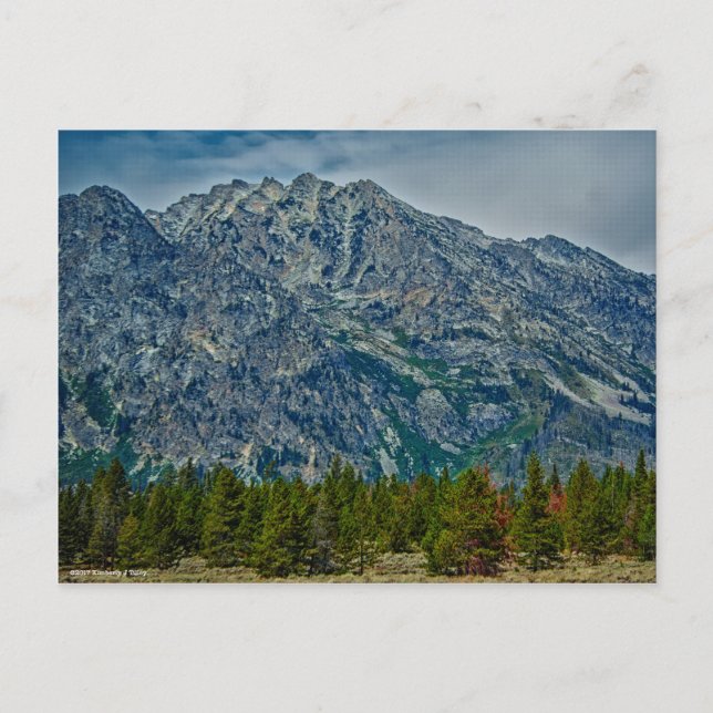 Teton NP 6901 Postcard (Front)